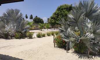 Imagem 5: SITIO RESIDENCIAL/COMERCIAL em BEBERIBE - CE, Sítio Floresta