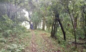 Imagem 6: OPORTUNIDADE: Lindo terreno com nascente, riacho, vista e mata!