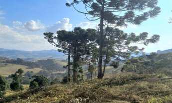 Imagem 6: Lindo Terreno com Vista Deslumbrante, Nascente e Ótima Topografia