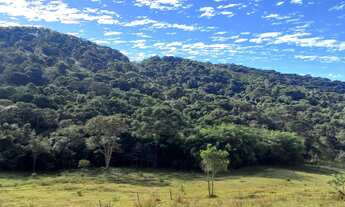 Imagem 2: Belíssimos Lotes Rodeados de Natureza