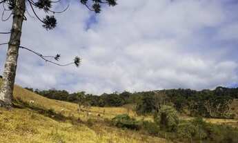 Imagem 7: Terreno dos Sonhos em Gonçalves: Vista Exuberante, Nascente, Ótima Topografia!