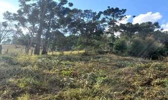 Imagem 2: Lindo Terreno com Vista Deslumbrante, Nascente e Ótima Topografia