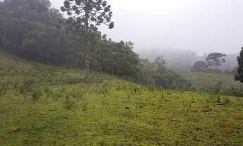 Imagem 3: OPORTUNIDADE: Lindo terreno com nascente, riacho, vista e mata!