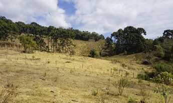 Imagem 5: Terreno dos Sonhos em Gonçalves: Vista Exuberante, Nascente, Ótima Topografia!