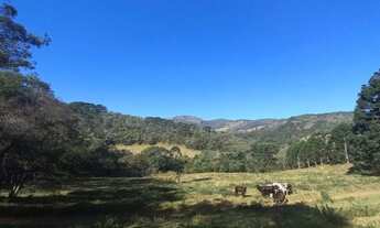 Imagem 4: Lindo Terreno com vista para Pedra do Jair