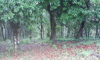 Imagem 2: OPORTUNIDADE: Lindo terreno com nascente, riacho, vista e mata!
