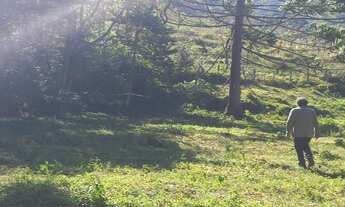 Imagem 6: Lindo Terreno com vista para Pedra do Jair