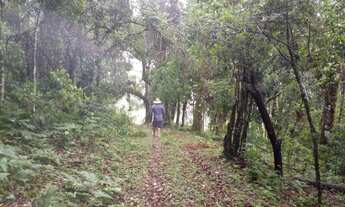 Imagem 5: OPORTUNIDADE: Lindo terreno com nascente, riacho, vista e mata!