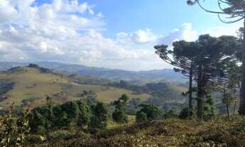 Imagem 3: Lindo Terreno com Vista Deslumbrante, Nascente e Ótima Topografia