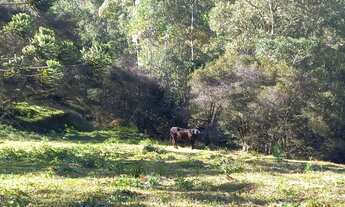 Imagem 5: Lindo Terreno com vista para Pedra do Jair
