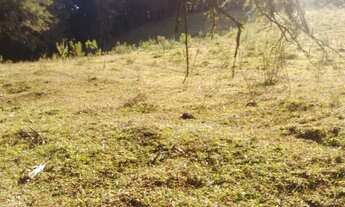 Imagem 4: OPORTUNIDADE: Lindo terreno, completo!