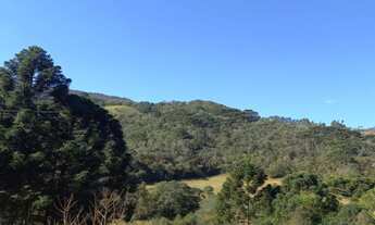 Imagem 3: Lindo Terreno com vista para Pedra do Jair