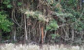 Imagem 3: Belíssima área com linda vista próxima à cachoeira dos Henriques