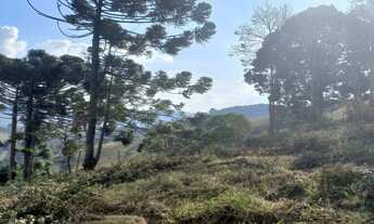Imagem 5: Lindo Terreno com Vista Deslumbrante, Nascente e Ótima Topografia