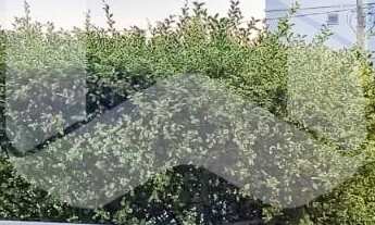 Imagem 4: Apartamento a venda no Rossi Ideal Água Doce no Parque Prado em Campinas com 2 quartos