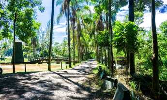 Imagem 5: Terreno no Zurich a venda com 360m