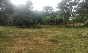 Imagem 3: Terreno de 3 mil metros em zona urbana ao lado do Parque Prado