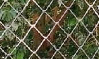 Imagem 3: Apartamento à venda no Condomínio Residencial Morada Ipes com 3 quartos