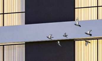 Imagem 7: Apartamento com vista permanente para as Pedras - Itapema do Norte em Itapoá