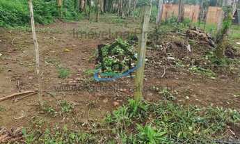 Imagem 5: Terreno para Venda em Ubatuba / SP no bairro Sertão da Quina