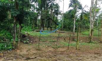 Imagem 7: Terreno para Venda em Ubatuba / SP no bairro Sertão da Quina