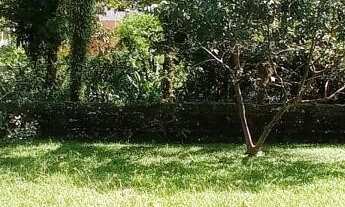 Imagem 3: Terreno para Venda em Ubatuba / SP no bairro Praia da Lagoinha