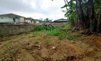 Imagem 2: Terreno para Venda em Caraguatatuba / SP no bairro Massaguaçu