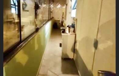 Imagem 4: Apartamento para Venda em Ubatuba / SP no bairro Itaguá