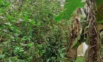 Imagem 2: Terreno para Venda em Ubatuba / SP no bairro Sertão da Quina