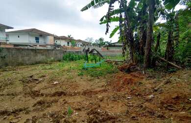 Imagem 5: Terreno para Venda em Caraguatatuba / SP no bairro Massaguaçu
