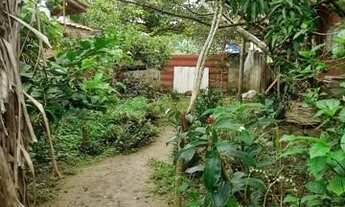 Imagem 4: Terreno para Venda em Ubatuba / SP no bairro Sertão da Quina