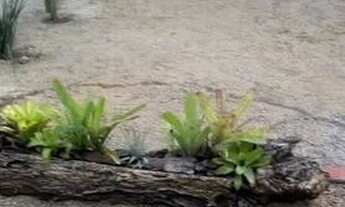 Imagem 4: Casa para Venda em Ubatuba / SP no bairro Ubatumirim