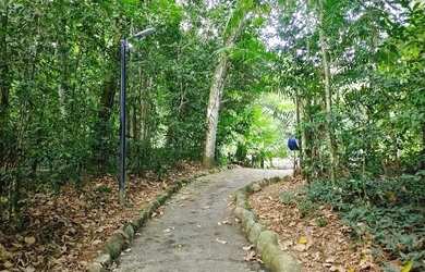 Imagem 5: Terreno para Venda em Caraguatatuba / SP no bairro Massaguaçu