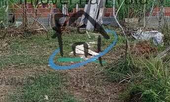 Imagem 7: Casa para Venda em Ubatuba / SP no bairro Praia da Tabatinga