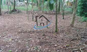 Imagem 2: Terreno para Venda em Ubatuba / SP no bairro Sertão da Quina