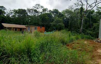 Imagem 4: Terreno para Venda em Ubatuba / SP no bairro Praia da Maranduba