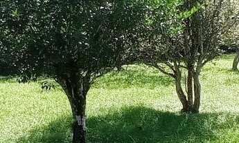 Imagem 2: Terreno para Venda em Ubatuba / SP no bairro Praia da Lagoinha