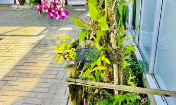 Imagem 3: Apartamento a Venda em Juquehy - Direito Possessórios, c/ 2 dorm., 1 suíte, piscina coleti