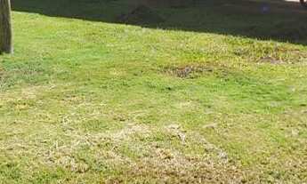 Imagem 2: CASA COM 320 m² - ORLANDO QUAGLIATO - OURINHOS SP