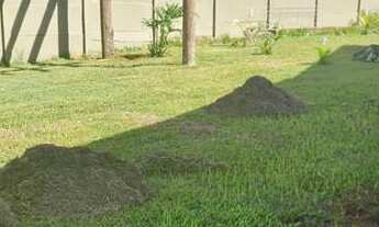 Imagem 4: CASA COM 320 m² - ORLANDO QUAGLIATO - OURINHOS SP