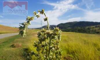 Imagem: Terreno em Condomínio