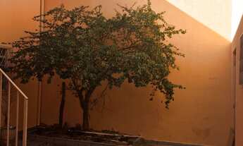 Imagem 3: Ótimo Sobrado 3 dorms 5 vagas no Imirim