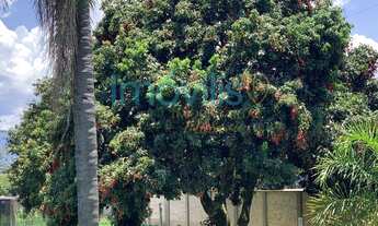 Imagem 3: Sítio com casa de campo