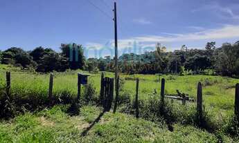 Imagem 5: Sítio 25.000m2 com 1 casa