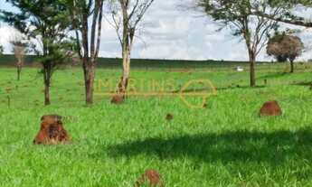 Imagem: Fazenda para Venda, Araguari / MG, bairro