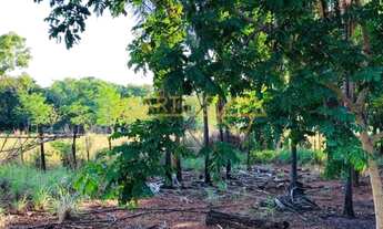 Imagem: Rancho para Venda, bairro Porto Barreiro