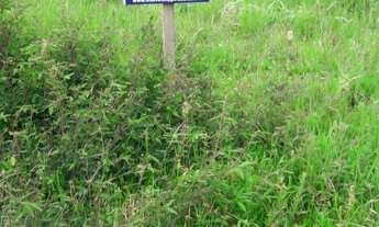 Imagem: Terreno à venda no bairro Itapiruba em