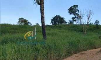 Imagem 4: Fazenda, 7 dormitórios, 6 suíte, 8 banheiro, 20 vagas na garagem