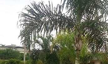 Imagem 4: Casa-em-Condominio-para-Venda-em-Residencial-Gaivota-II-Sao-Jose-do-Rio-Preto-SP, 3 dormit