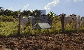 Imagem: Fazenda à venda no bairro Centro - Nova